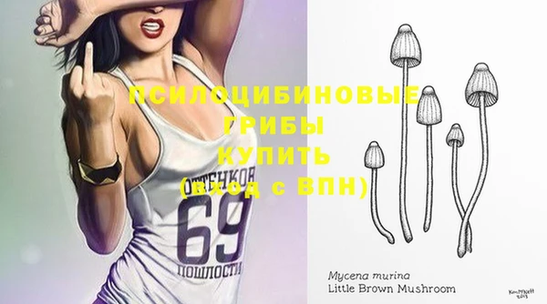 амф Беломорск