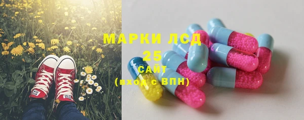 амф Беломорск