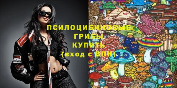 крисы Коряжма