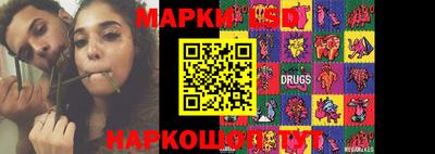 гидропоника Владимир