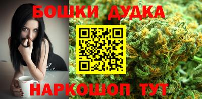 гидропоника Владимир