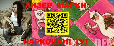 гидропоника Владимир