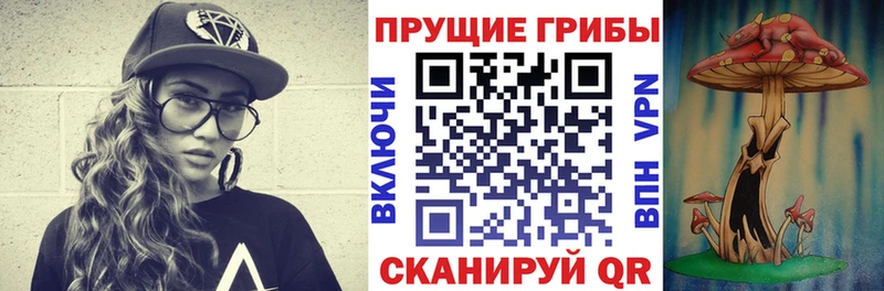 Псилоцибиновые грибы Psilocybe  магазин продажи наркотиков  Благодарный 