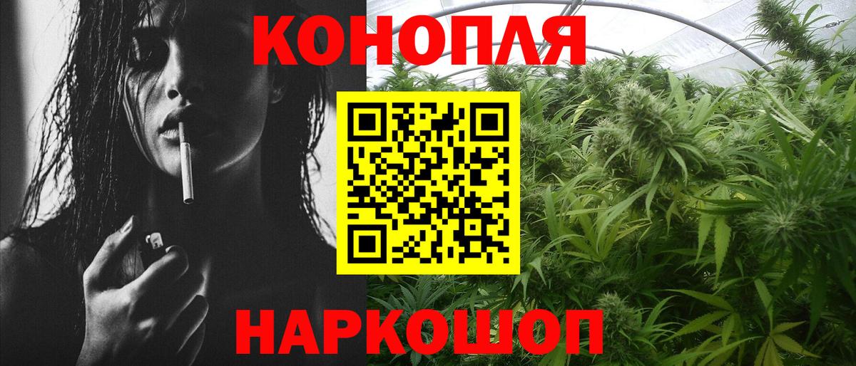 Шишки марихуана ГИДРОПОН Благодарный